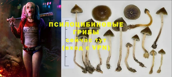 ГАЛЛЮЦИНОГЕННЫЕ ГРИБЫ Гусь-Хрустальный