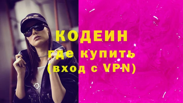 СК Гусев