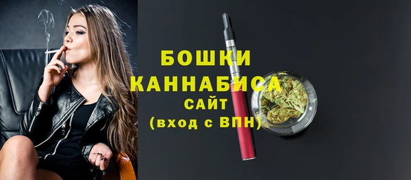 ГАЛЛЮЦИНОГЕННЫЕ ГРИБЫ Гусь-Хрустальный