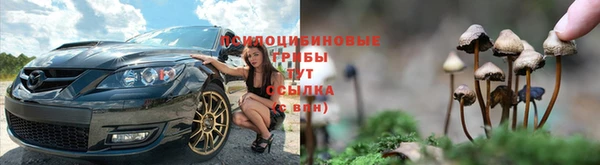СК Гусев