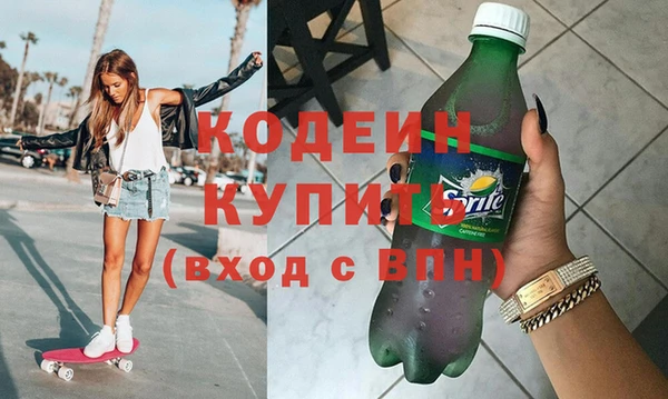 ГАЛЛЮЦИНОГЕННЫЕ ГРИБЫ Гусь-Хрустальный
