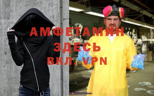ГАЛЛЮЦИНОГЕННЫЕ ГРИБЫ Гусь-Хрустальный