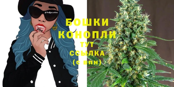 стафф Дмитриев