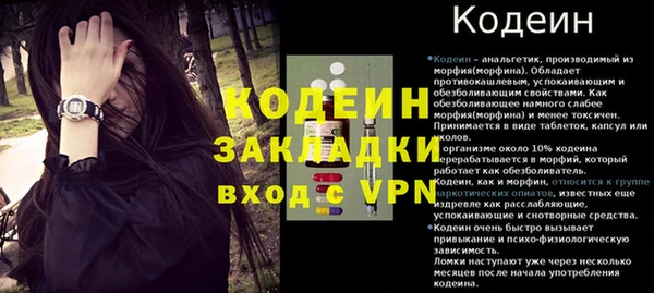 ГАЛЛЮЦИНОГЕННЫЕ ГРИБЫ Гусь-Хрустальный