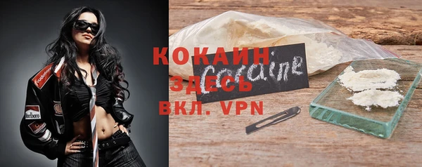 стафф Дмитриев